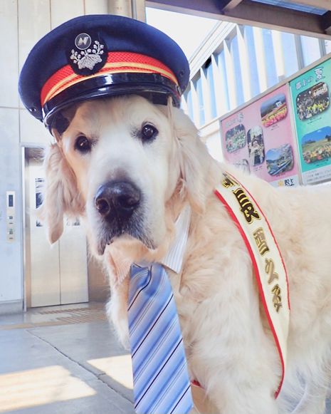 No.439　駅長さん