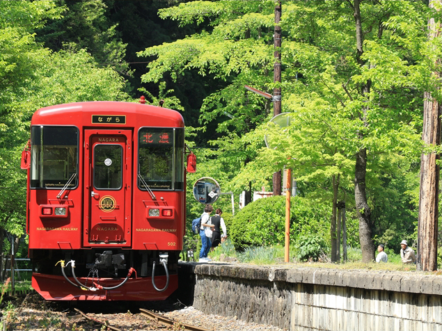 No.445　緑眩しい終着駅