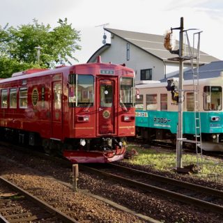 No.454　ネコロジーとかわかぜ
