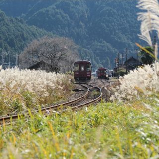 No.478　晩秋大矢駅