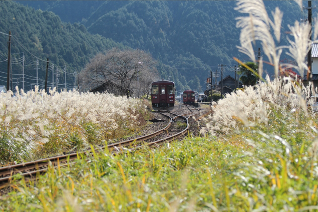 No.478　晩秋大矢駅