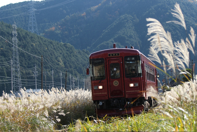 No.479　晩秋長良