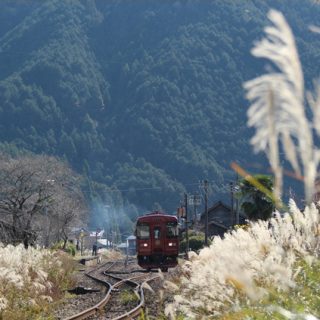 No.480　ススキと共に