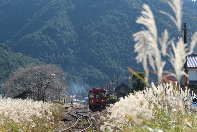 No.480　ススキと共に