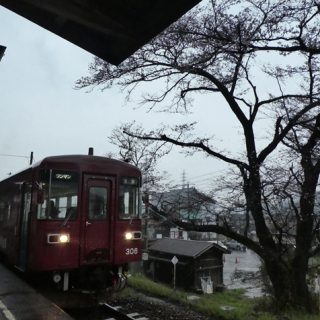 No.498　ホット一息