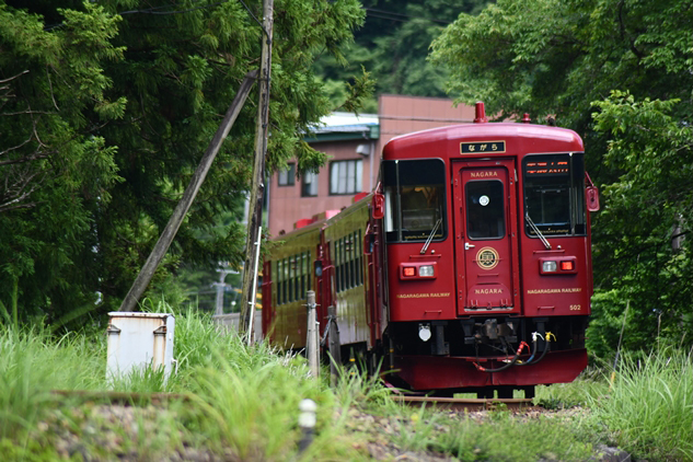 No.511　緑の中にながら