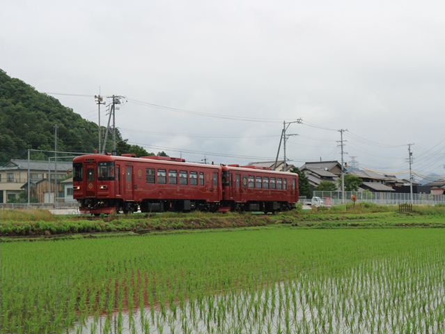 No.513　梅雨入り