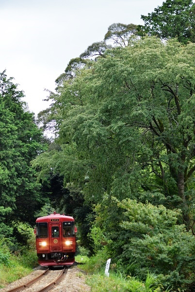 No.521　梅山を抜けて