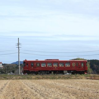 No.532　記念列車