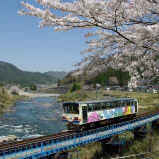 ﾌｫﾄｺﾝﾃｽﾄNo.25　鉄橋と桜