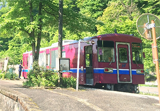 自動車免許を返納したお客様へ