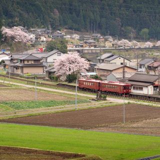 No.169　川の流れに沿いながら