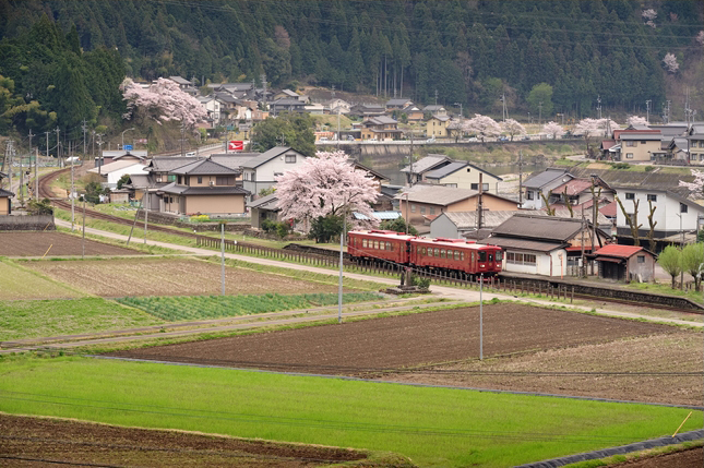 No.169　川の流れに沿いながら