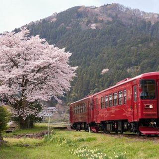 No.174　山をバックに
