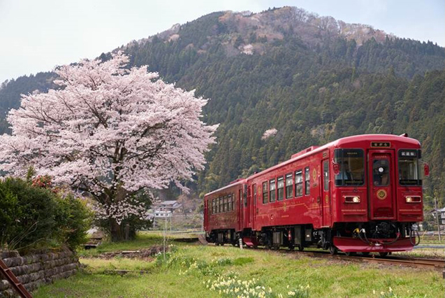 No.174　山をバックに