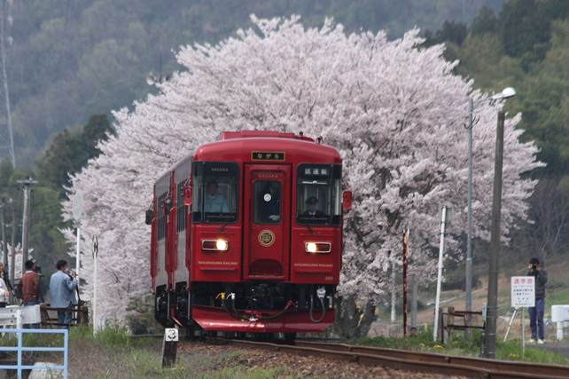 No.175　春色