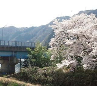 No.176　「ながら、郡上八幡、交通の要所」