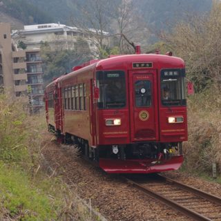 No.181　「ながら」プレデビュー