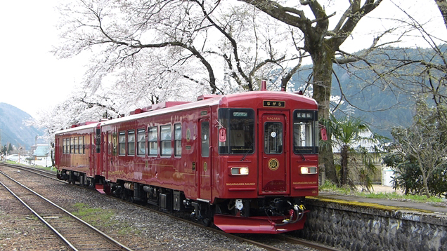 No.198　満開の桜とこれから咲く「ながら」2