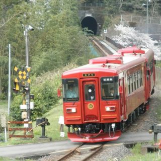 No.199　快走 観光列車「ながら」
