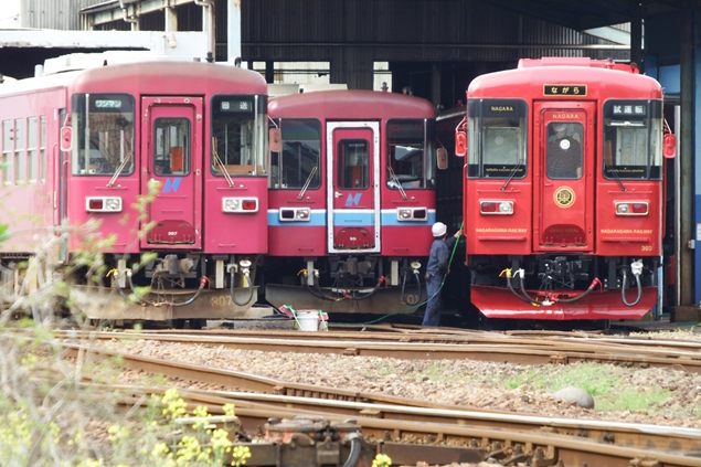 No.202　レッドシスターズ