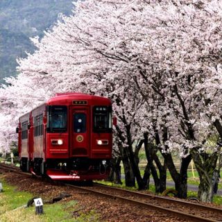 No.219　観光列車「ながら」始動