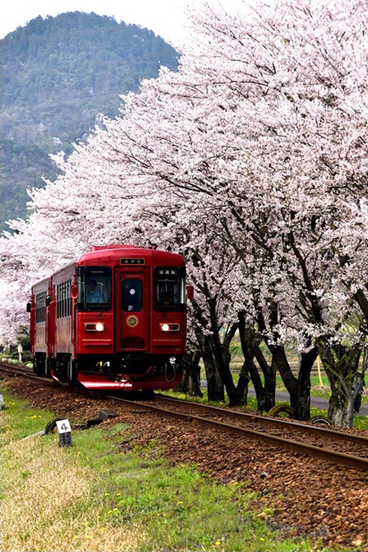 No.219　観光列車「ながら」始動