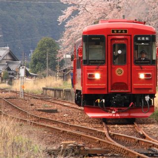 No.220　春を彩る華(はな)