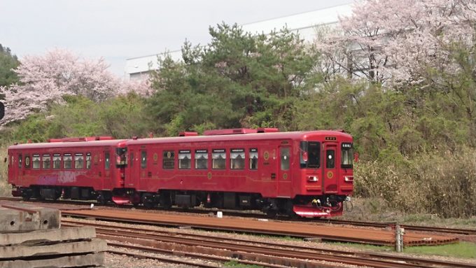 No.222　ながらとさくら