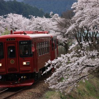 No.223　威風堂々1