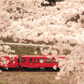 No.231　観ながら