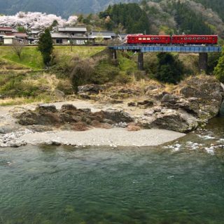 No.234　長良川の自然を満喫し「ながら」