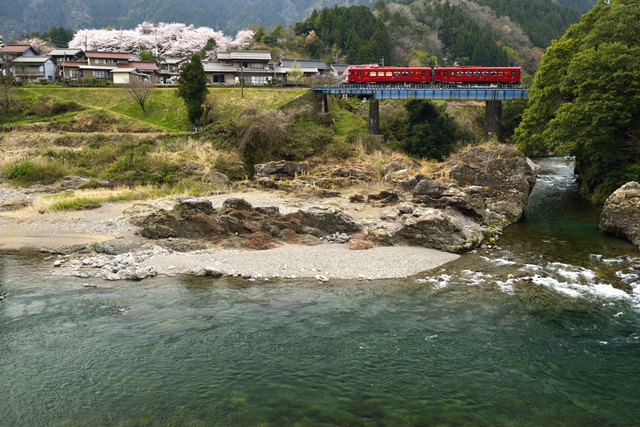 No.234　長良川の自然を満喫し「ながら」