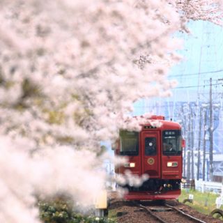 No.242　「ながら」試運転