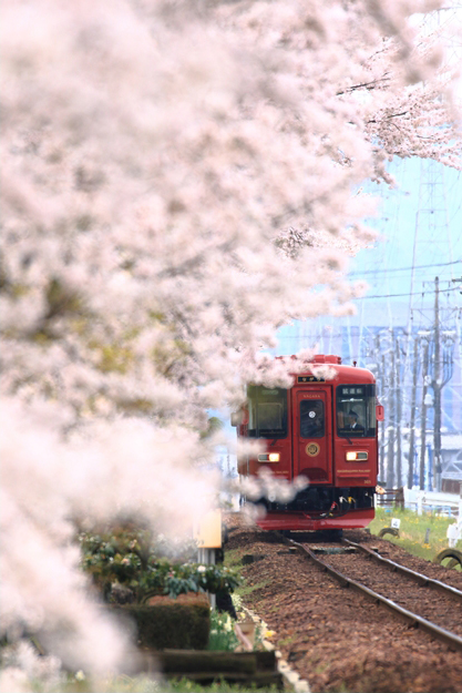 No.242　「ながら」試運転