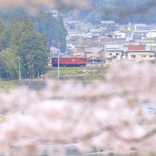 No.243　「ながら」と長良