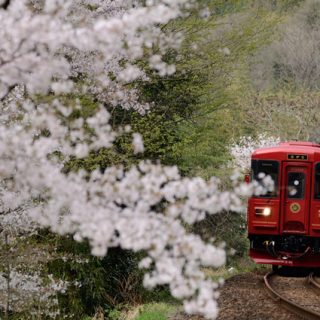 No.248　S字を駆け抜けるロイヤルレッドの輝き