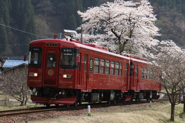No.249　春の山田駅を出る「ながら」