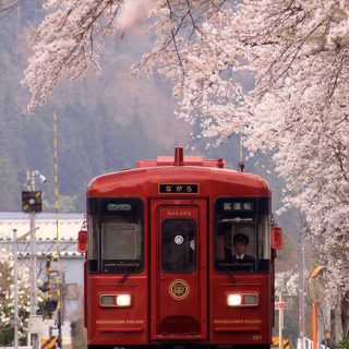 No.250　観光列車ながら初めての試運転