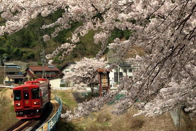 No.252　競艶