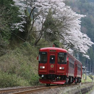 No.256　夢列車