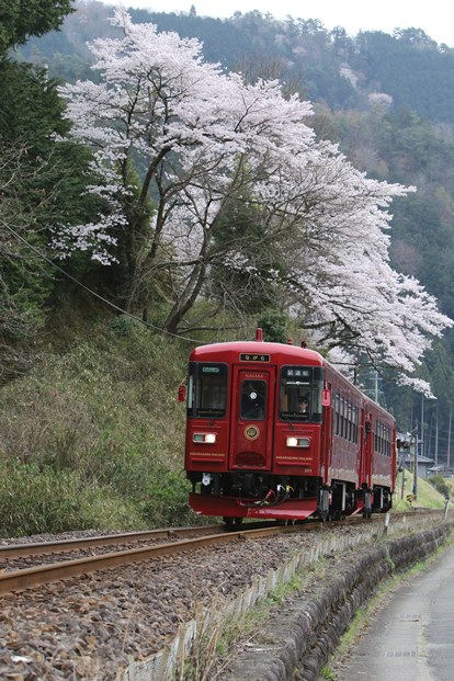 No.256　夢列車