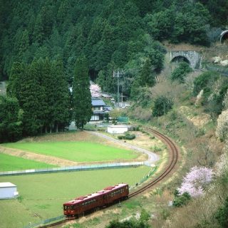 No.260　子安の大カーブを行くながら