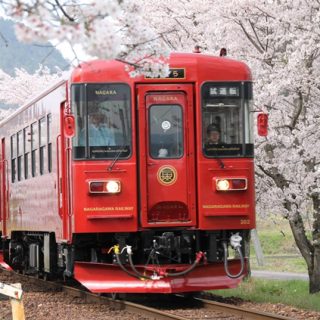 No.266　NAGARA プレdebut