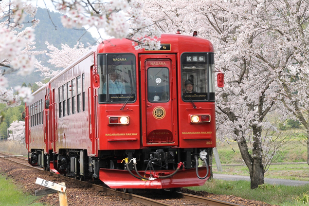 No.266　NAGARA プレdebut