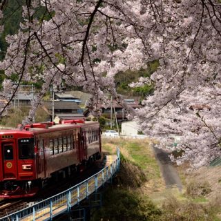 No.268　「ながら」でようこそ美濃路へ