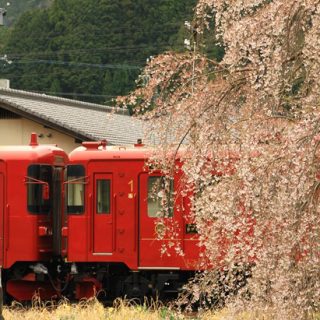 No.276　春の訪れ