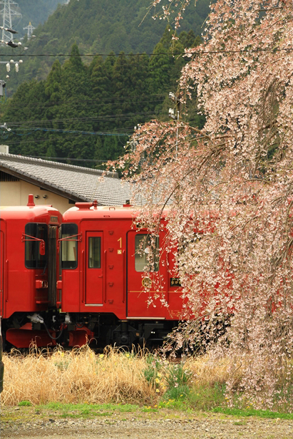 No.276　春の訪れ