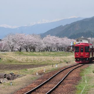 No.280　田園の春