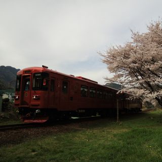 No.281　春を駆け抜ける「ながら」